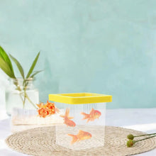 Aquarium Breeding and Isolation Box