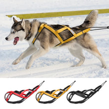 X Dog Harness