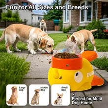 Anti-Slip Dog Puzzle Feeder