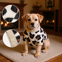 Leopard Print Winter Dog Hoodie