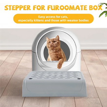 Double Layered Cat Litter Box with Ramp