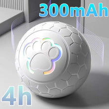 Pet Automatic Toy Ball with RGB Lights