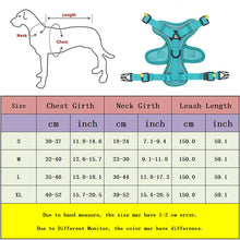 No Pull Dog Harness Set