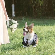 Tuxedo Wedding Suit for Dogs