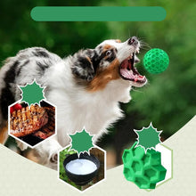 Tough Rubber Dog Chew Ball