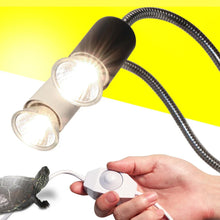 Reptile UVA UVB Lamp Set
