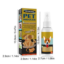Pet Potty Training Spray