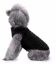 Dog Summer Vest Casual Outfit