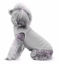 Dog Summer Vest Casual Outfit