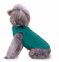 Dog Summer Vest Casual Outfit