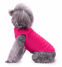 Dog Summer Vest Casual Outfit