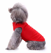 Dog Summer Vest Casual Outfit
