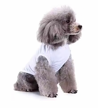 Dog Summer Vest Casual Outfit