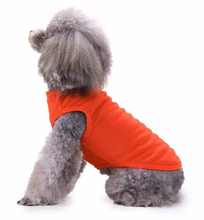 Dog Summer Vest Casual Outfit