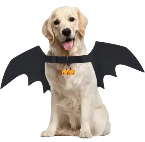 Bat Wings Pet Costume for Halloween