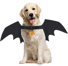 Bat Wings Pet Costume for Halloween