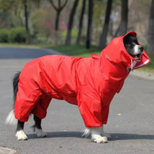 Waterproof Dog Rain Suit