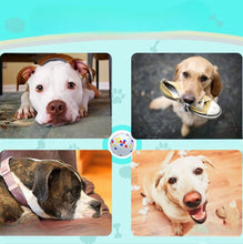 Bite Resistant Solid Dog Ball Toy