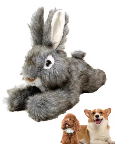 Rabbit Dog Toy with Squeaker