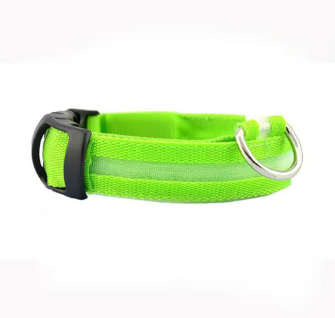 USB Rechargeable Luminous Collar