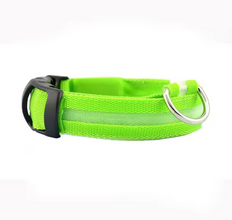 USB Rechargeable Luminous Collar