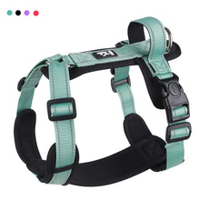 No-Pull Dog Harness, Reflective & Padded, Adjustable for Small & Medium Dogs