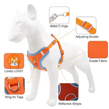 Adjustable Harness Leash Set for Dogs