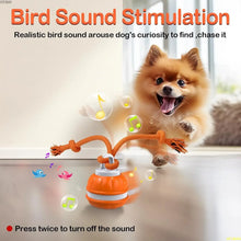 Interactive And Motion Activated Dog Ball