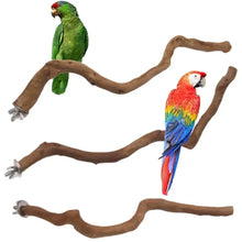 Natural Parrot Perch Stand
