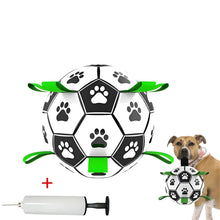 Interactive Dog Football Training Ball & Chew Toy