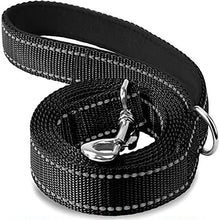 Reflective Pet Harness and Leash Set