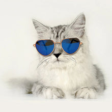 Miflame Cool Pet Glasses