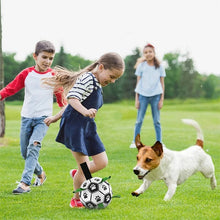 Interactive Dog Football Training Ball & Chew Toy