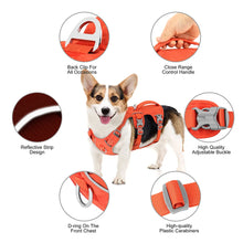 Escape Proof Nylon Dog Harness