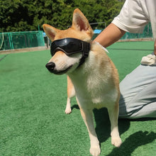 Pet Outdoor UV Protection Sunglasses