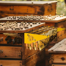 Metal Hive Frame Kit