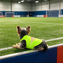 World Cup Dog T-Shirt Vest for Team Style