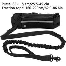 Hands-Free Walking Dog Leash With Storage