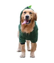 Funny Dinosaur Winter Clothes for Large Dogs