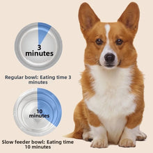 Stainless Steel Slow Feeder Bowl for Dogs & Cats
