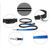 Hands Free Bungee Dog Leash