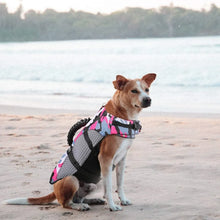 Reflective Dog Life Jacket