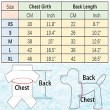 Tulle Lace Skirt Pet Apparel