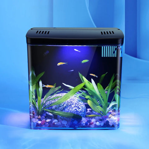 Tabletop Fish tank