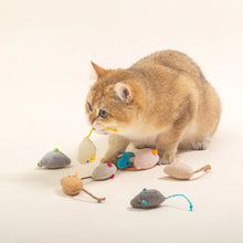 3-200 Pcs Rattle Cat Mouse Toys with Catnip