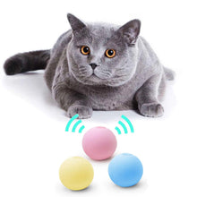 Cat Toy Plush Electric Ball with Catnip and Sound