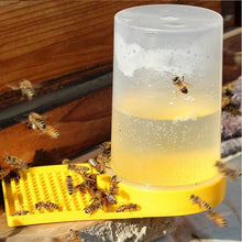 Bee Feeder Drinking Water Box