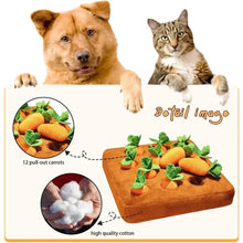 Vegetable Inspired Snuffle Mat for Pets