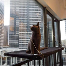 Comfortable Pet Cat Hanger