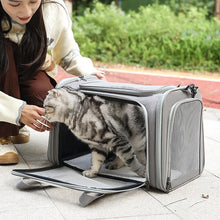 Portable Soft Side Pet Carrier